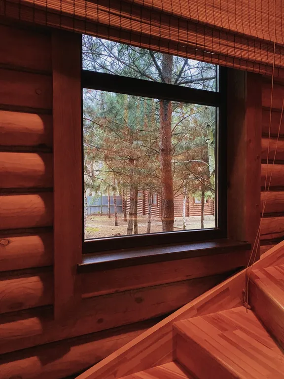 Коттедж в сосновом бору на берегу реки