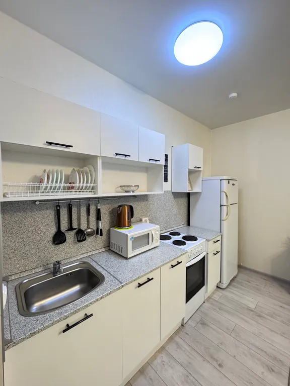 Уютная евро-двухкомнатная квартира у Планеты