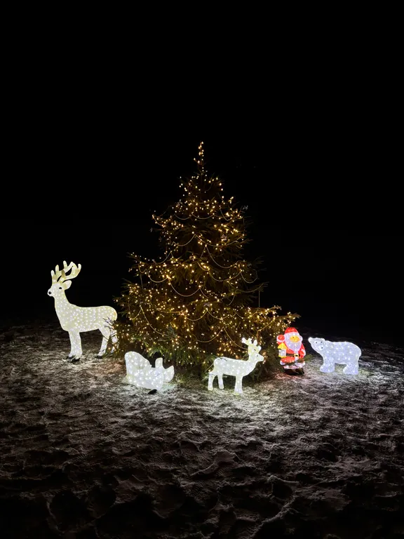 Дом и баня у озера Баглачевские дачи