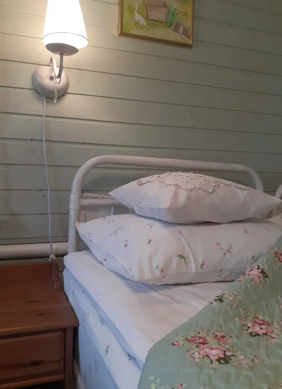 Дом в деревне на Дону в сосновом лесу