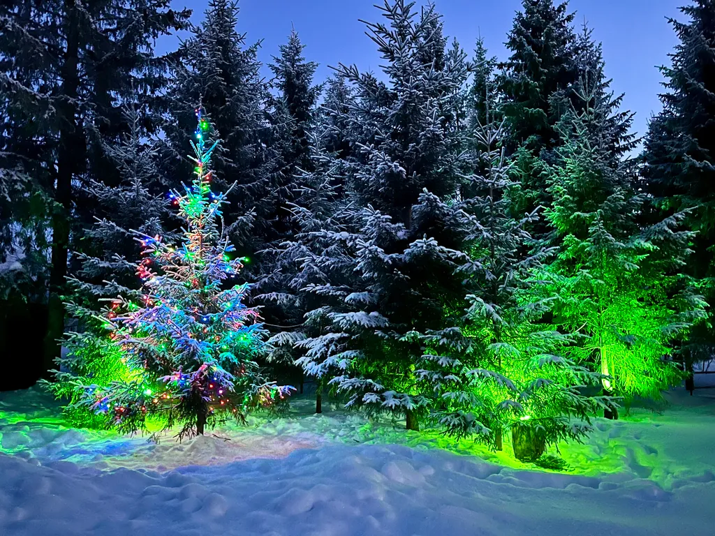 Загородный дом Царская усадьба