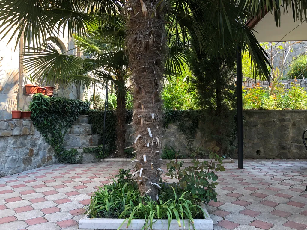 Двухэтажный дом с шикарным уютным двором в самом центре