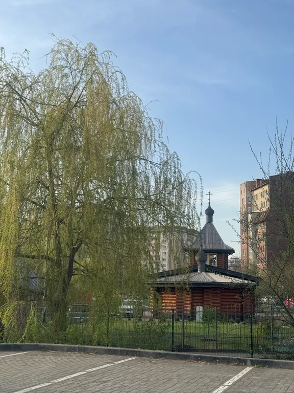 Квартира Просторные апартаменты — Калининград
