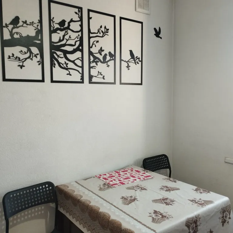 Однокомнатная квартира в самом центре