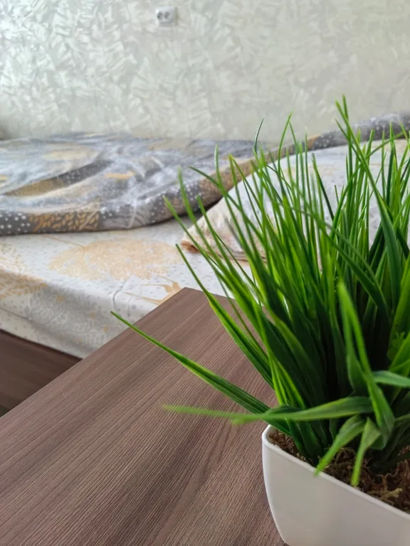 Гостевая квартира у Натальи