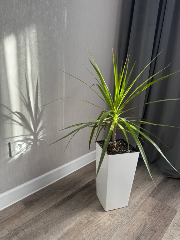 Комфортные апартаменты с видом на город