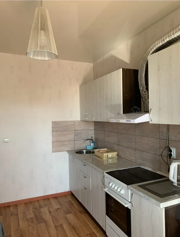 Большая однокомнатная квартира с видом на Китай