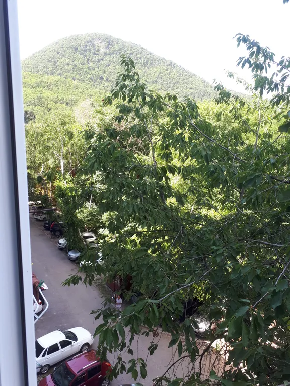 Уютная квартира-студия в курортной зоне с видом на горы и лес