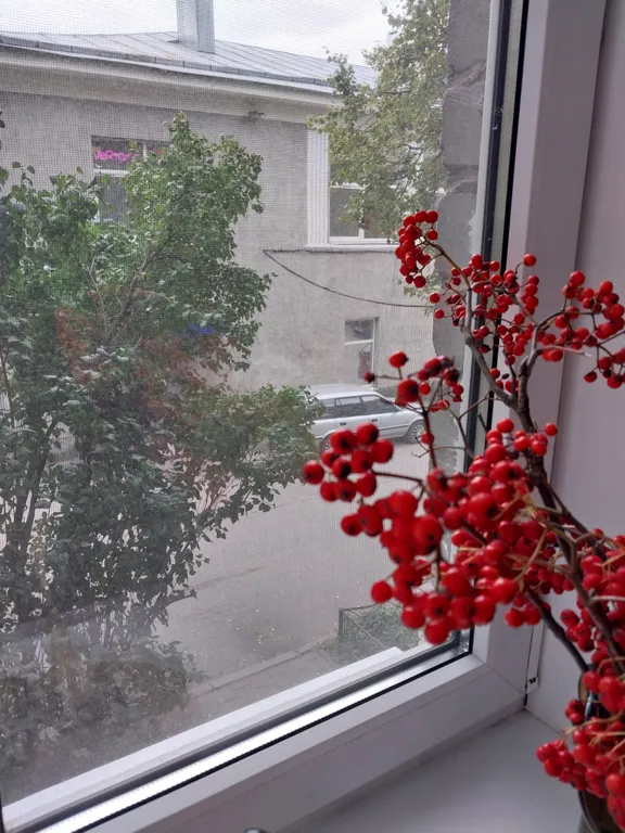 Уютная квартира в центре