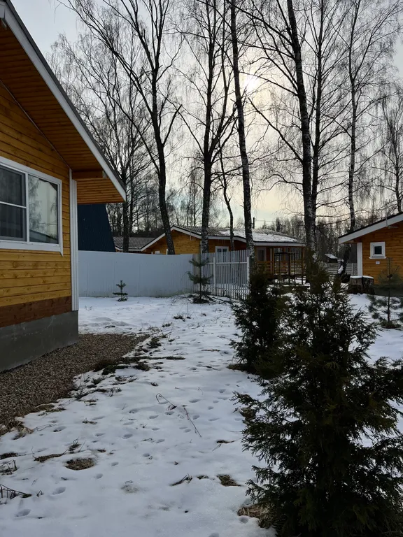 Дом Чуковский на берегу Рузского водохранилища