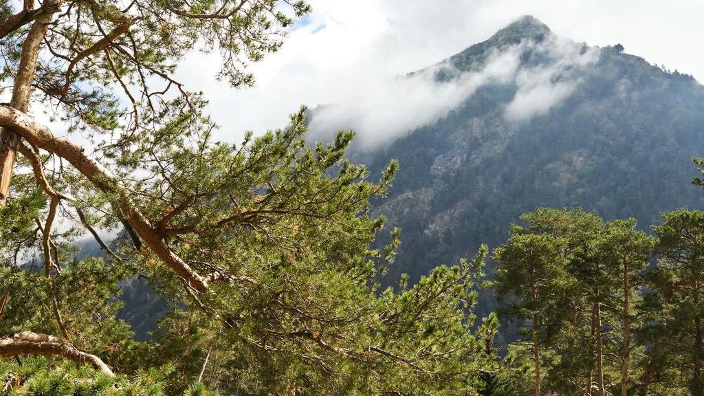 Двухместный стандарт