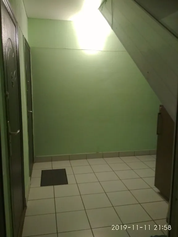 Большая студия для дружной компании с видом на сквер с белочками