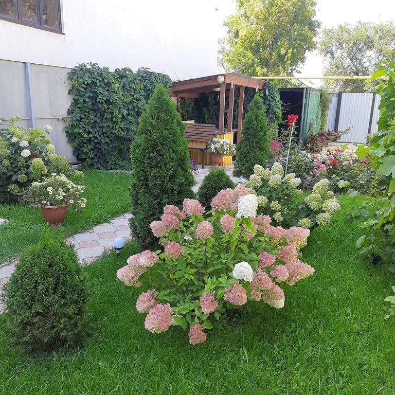 Домик мечты