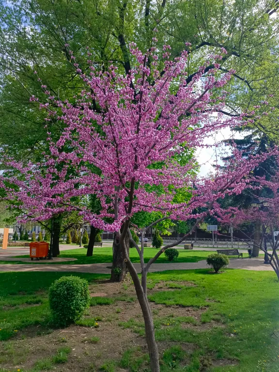 5-комнатный Дом