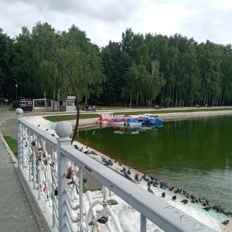 Стильная квартира с видом на Волгу и Романовский мост