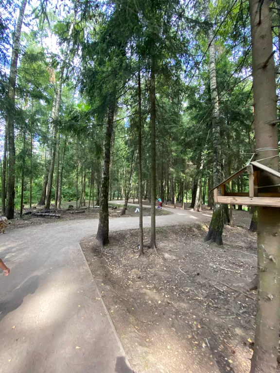 Уютная большая студия около Сколково