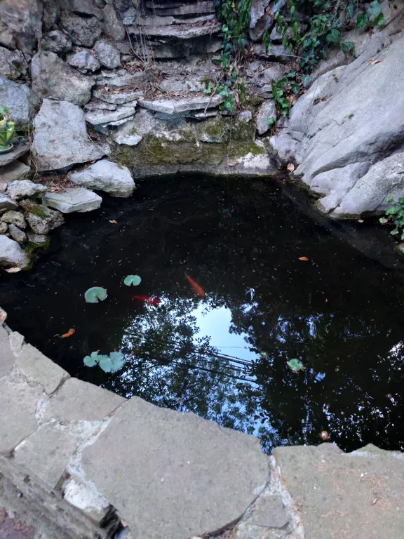 Уютная комната с санузлом и отличным зелёным двором для тихого отдыха