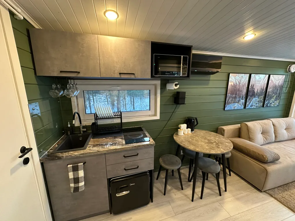 Дом Скандинавия Лес