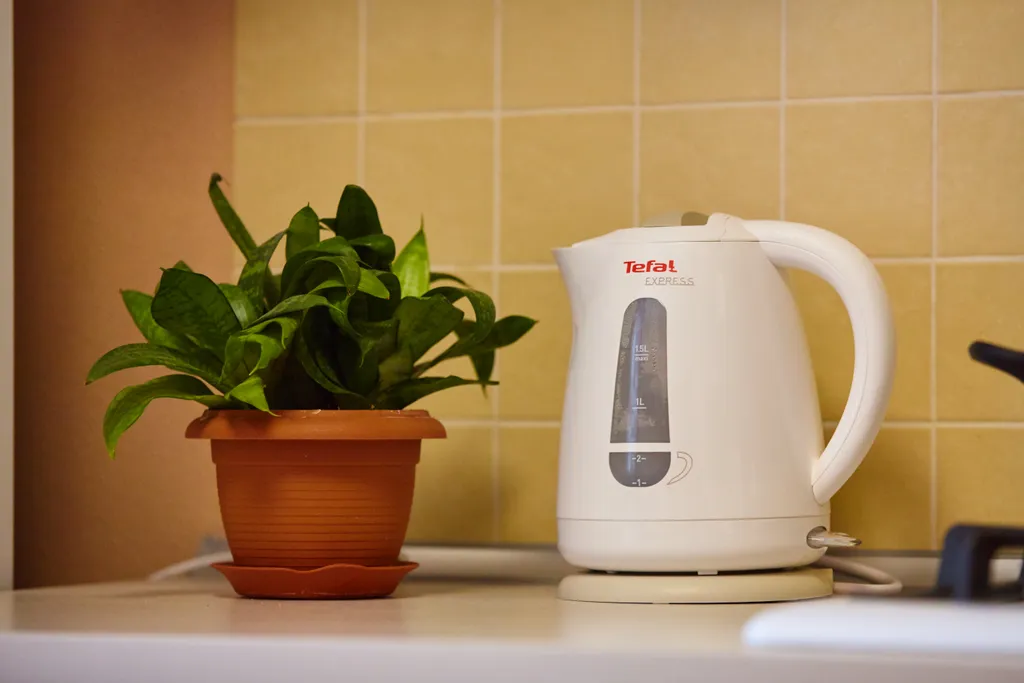 Двухкомнатные апартаменты в центре города