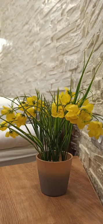 17-20. Двухместный номер с двуспальной кроватью