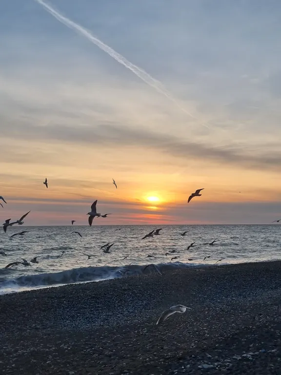 Студия в олимпийском парке