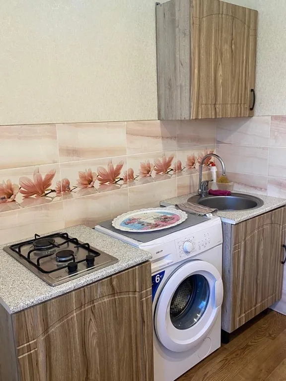 Уютная однокомнатная квартира в центре города