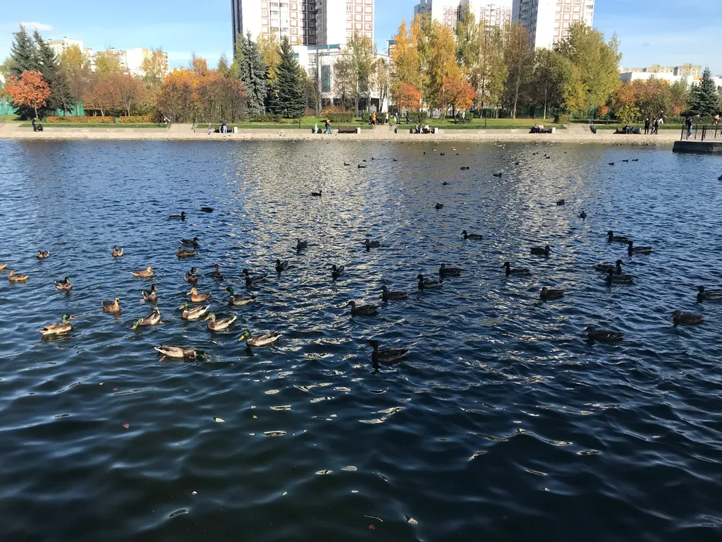 Компактная студия у библиотеки