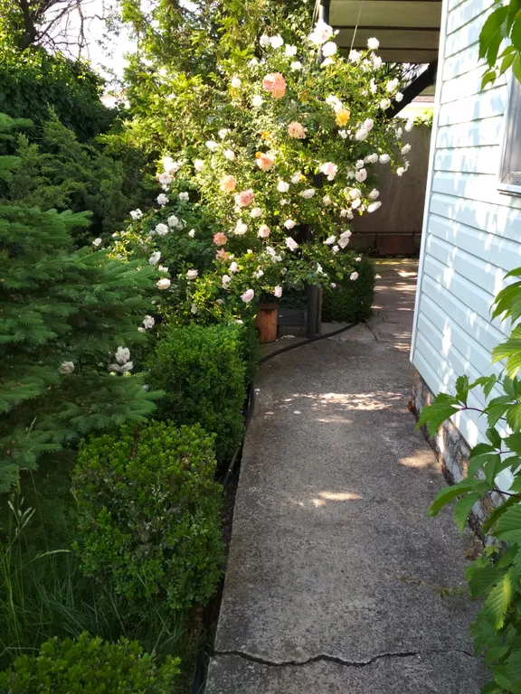 Уютный отдельный домик