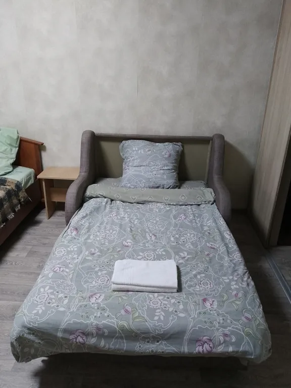 Уютная квартира у парка Берендеевка