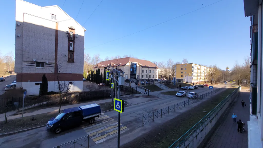 Застенчевая Ива у Пруда