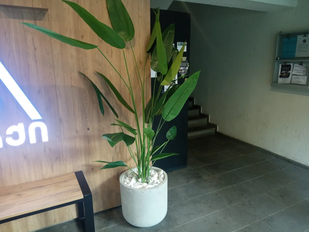 Отличный вид на город