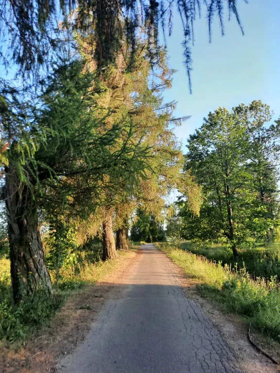 Дом с баней на дровах и камином у пяти озер