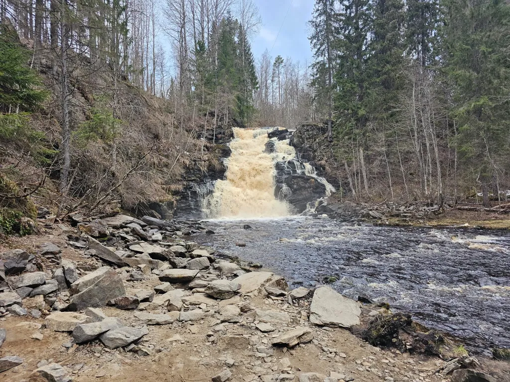 Дом в Карелии с печью-камином и видом на лес