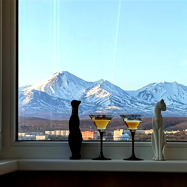 Уютная квартира в центре города с видом на вулканы — аренда посуточно в Петропавловск-Камчатский