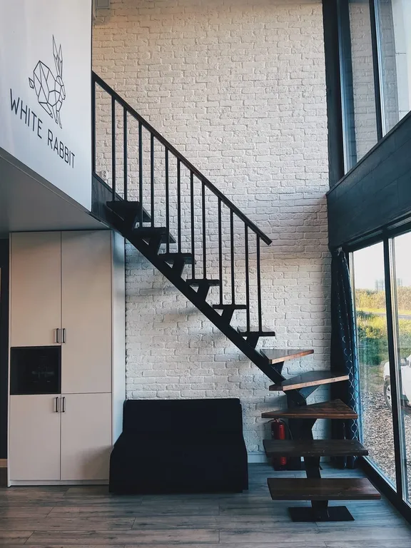 Белый кролик 1