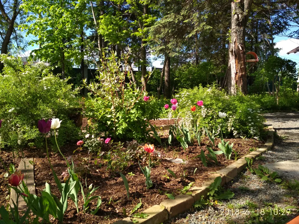Студия со всем необходимым с видом на лес