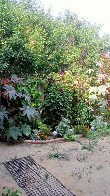 Апартамент в частном дворике