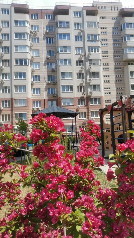 Квартира Happy place