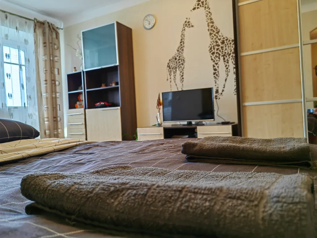 Уютная студия в центре города