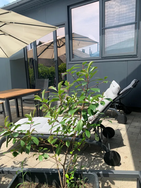 Коттедж Дом со своим бассейном в центре п. Лазаревское — Лазаревское