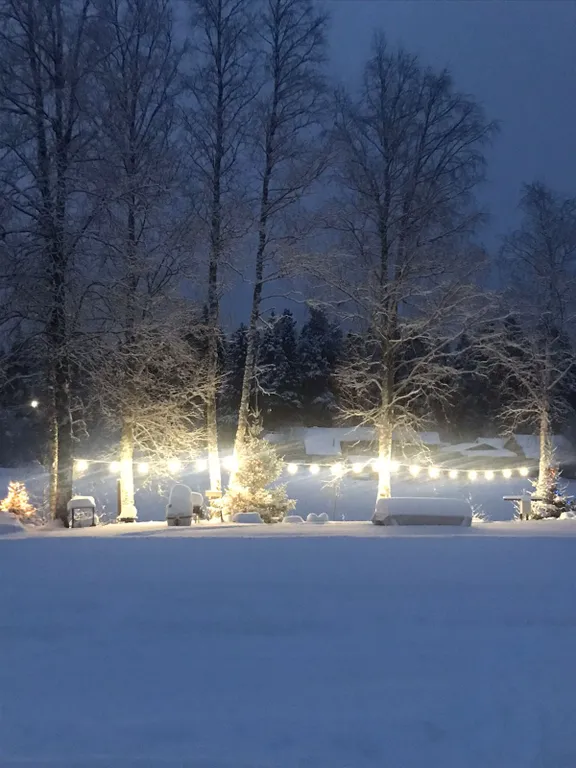 Уютный дом на берегу реки Янисйоки