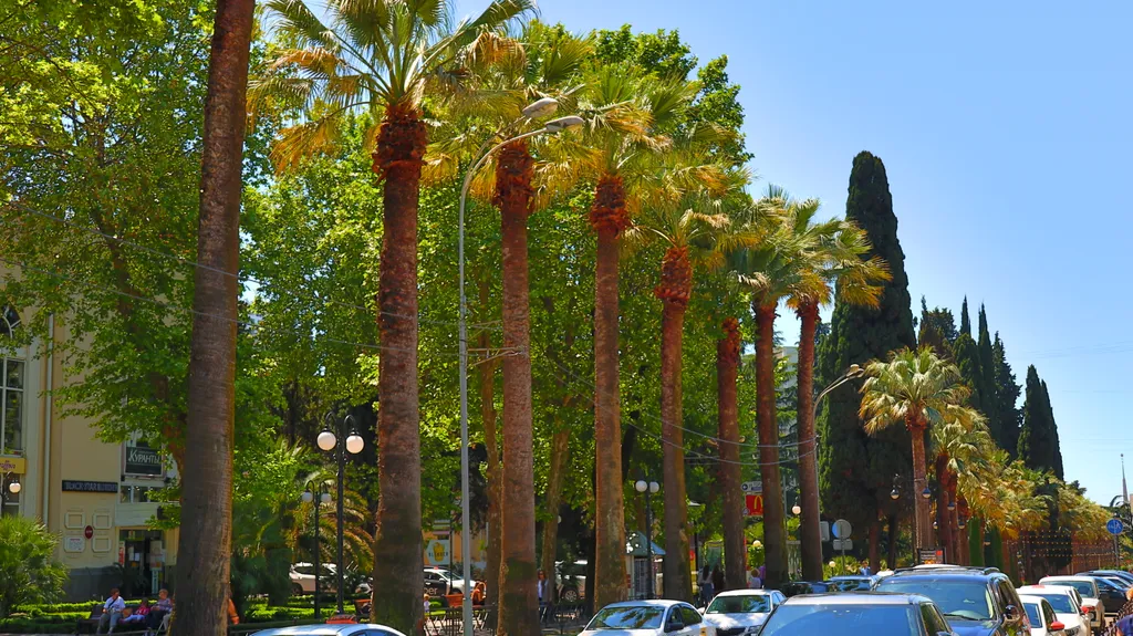 Квартира Квартира Апартамент рядом с морем — Сочи