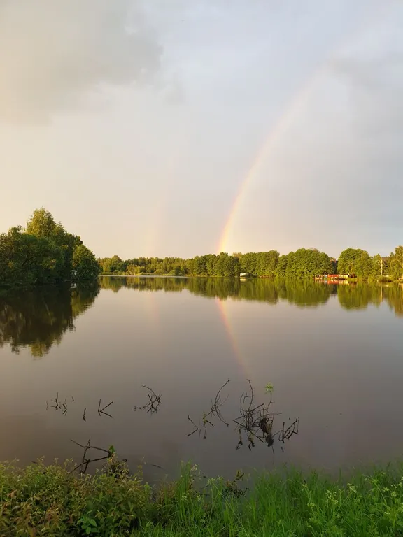 Коттедж Дом (A) с сауной и видом на лес — Пашуково