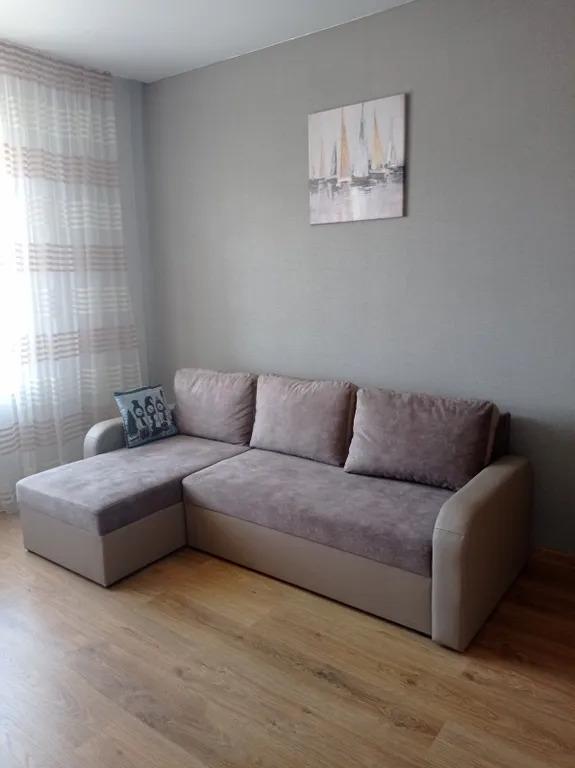 Квартира Уютная квартира — Светлогорск