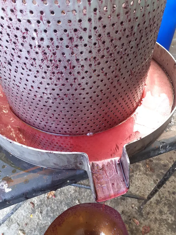 Коттедж Апартаменты на набережной с видом на море — Евпатория