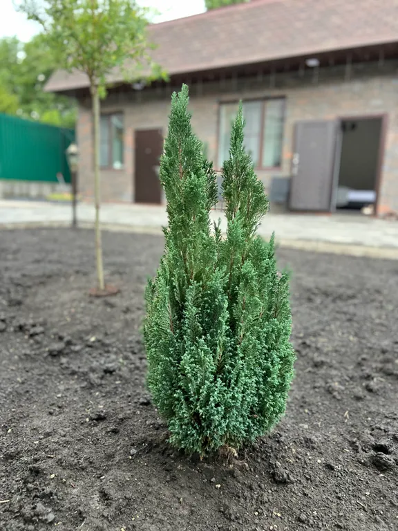 Студия в центре курортной зоны в новом доме