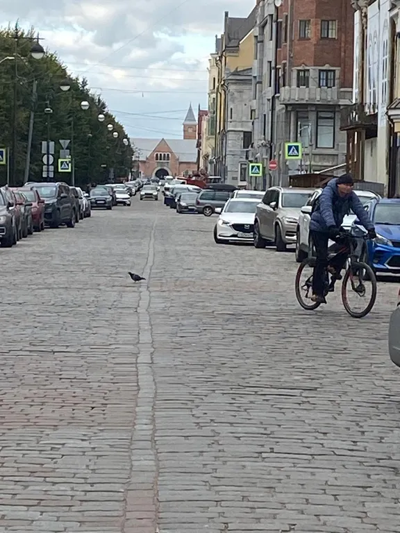 Стильная квартира в зеленом центре Выбора