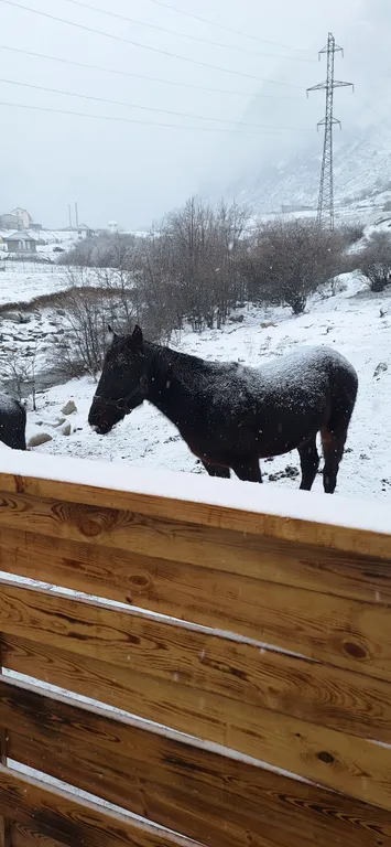 Домик в горах