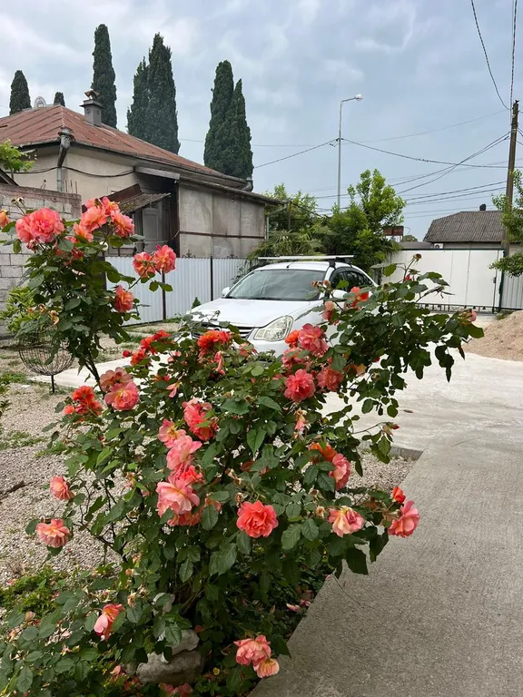 Гостевой дом под ключ возле моря