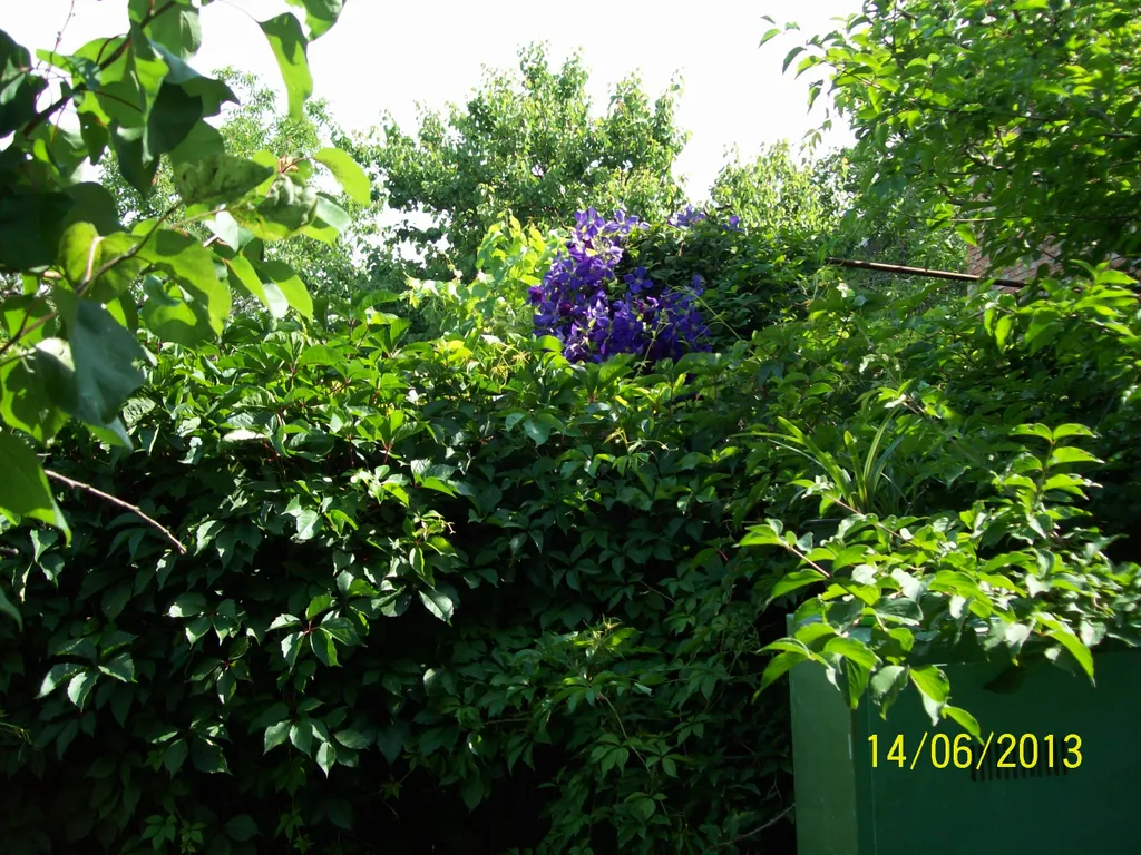 Двухместный номер в гостевом доме с уютным крымским двориком